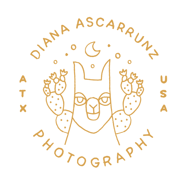 Diana Ascarrunz logo in dark yellow with drawing of llama and cacti